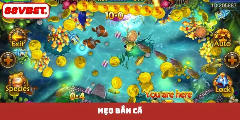 mẹo bắn cá