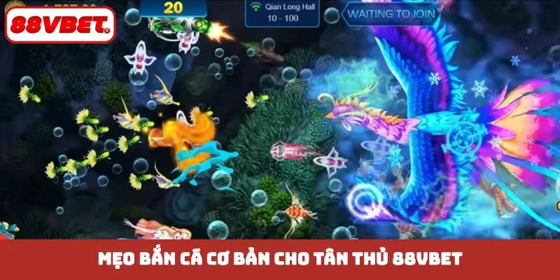 Mẹo bắn cá cơ bản cho tân thủ 88VBET