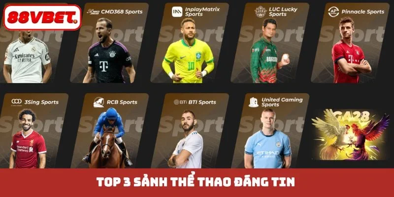 TOP 3 sảnh thể thao đáng tin